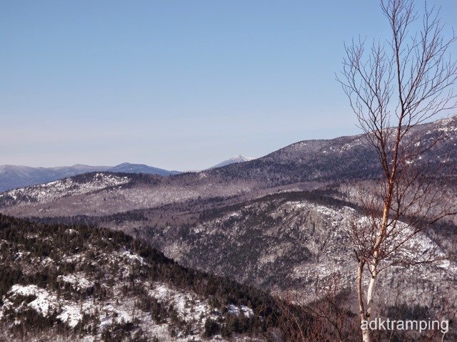 P2010018.jpg