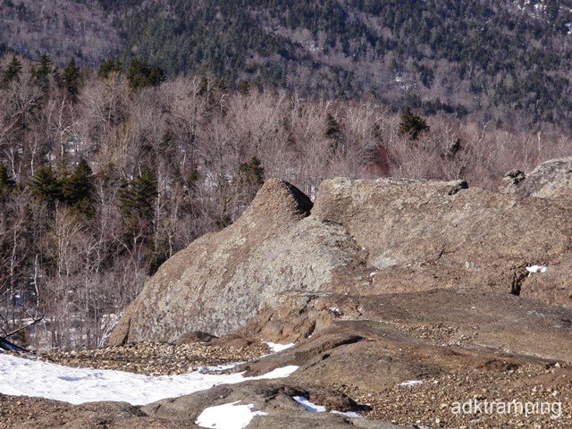 P2010021.jpg