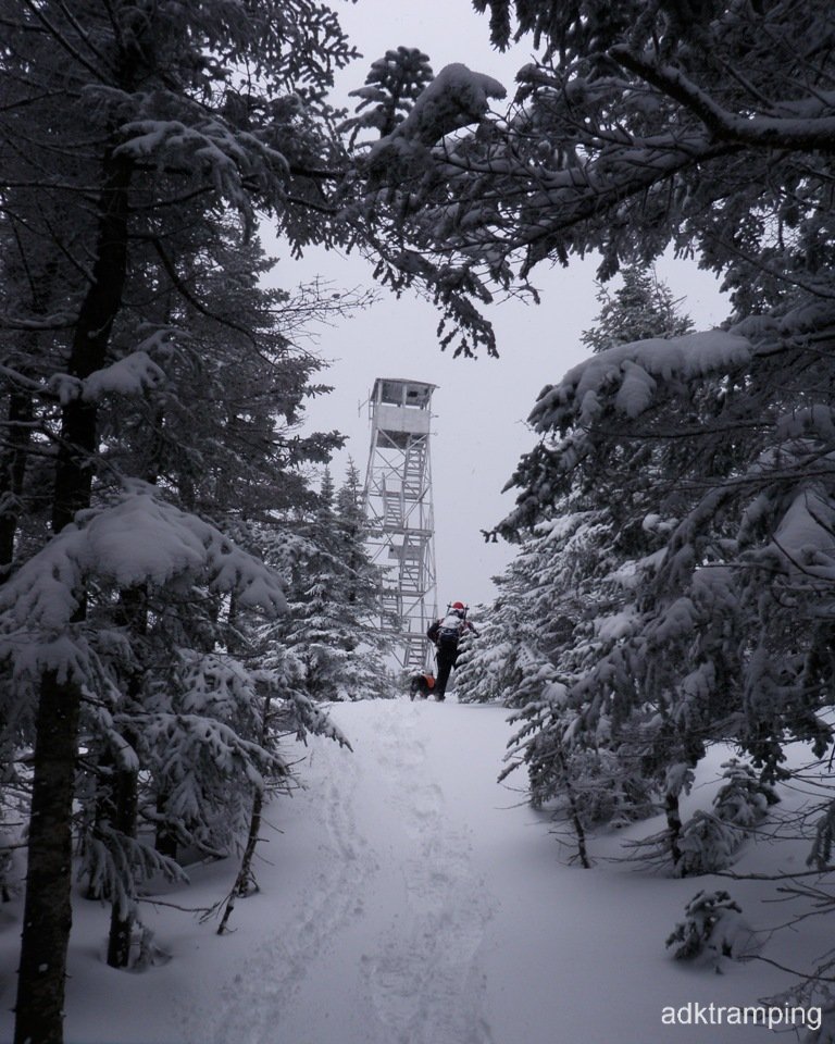 P3090009