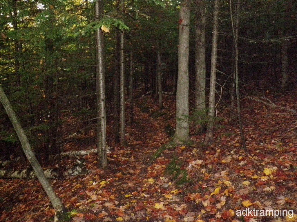P9290002.JPG