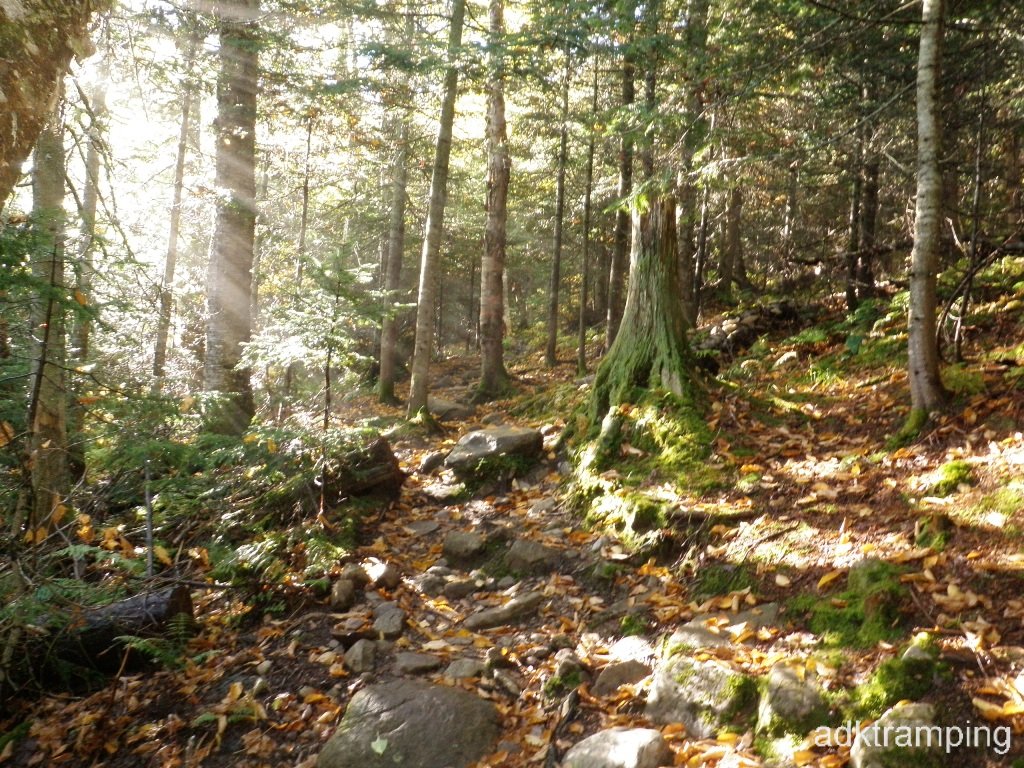 P9290010.JPG