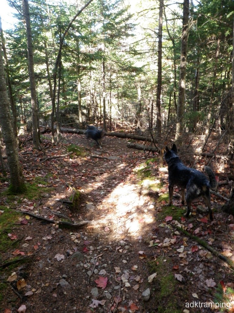 PA010025