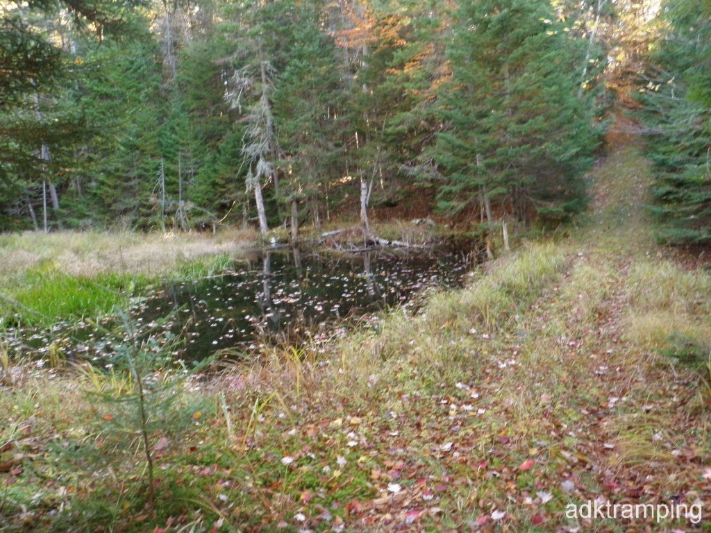 PA150017.JPG