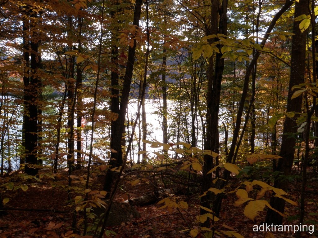 PA150022.JPG