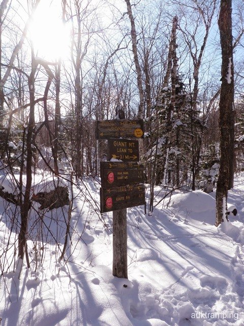 PB290025.jpg