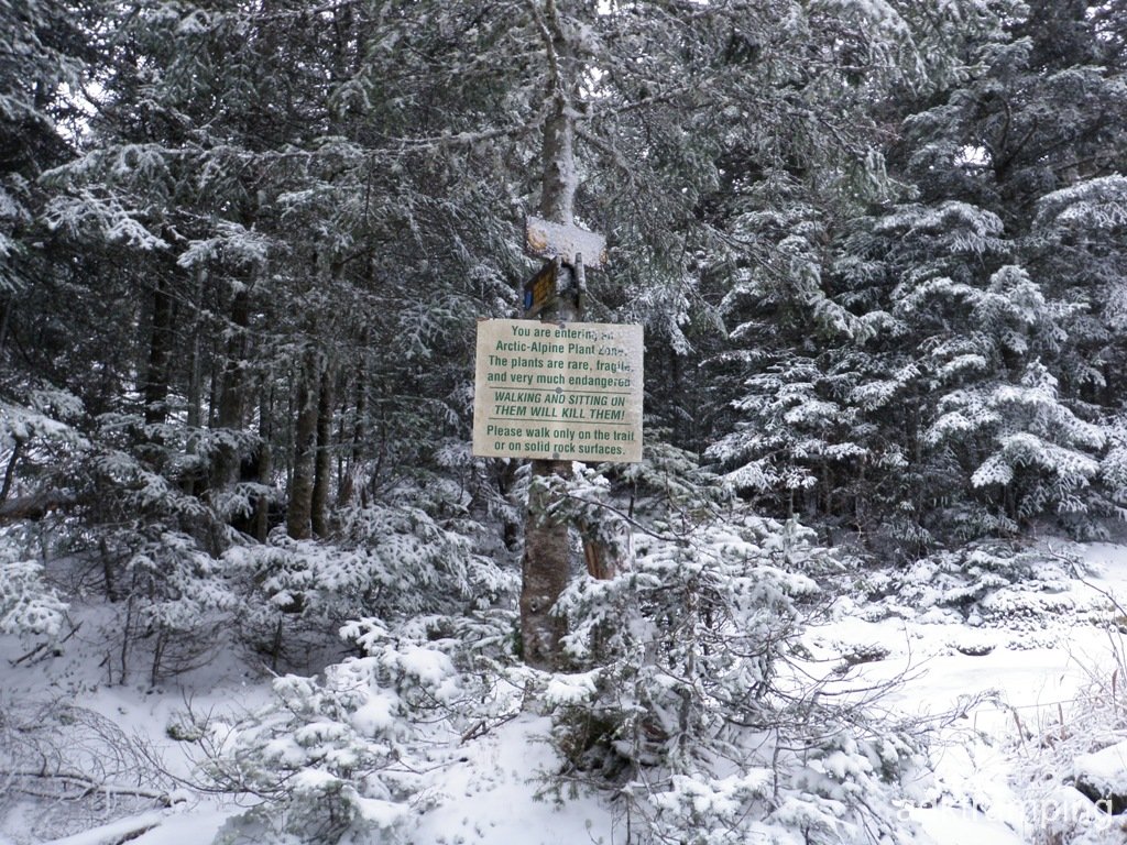 PC040065