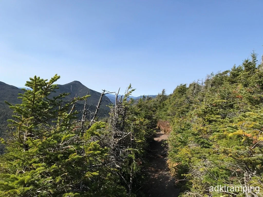 Ridge trail.