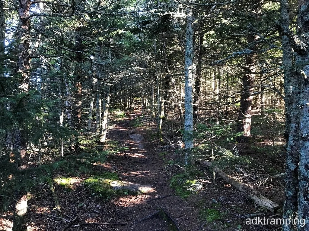 Ridge walk to summit