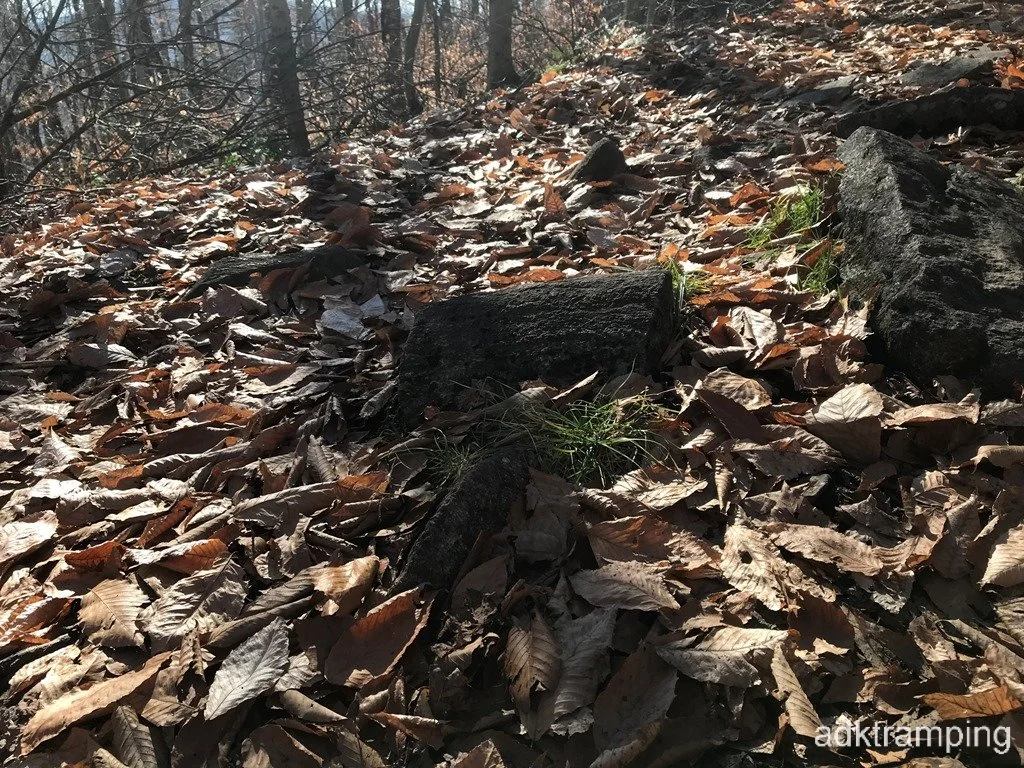 Rock that looks like a fossilized log.