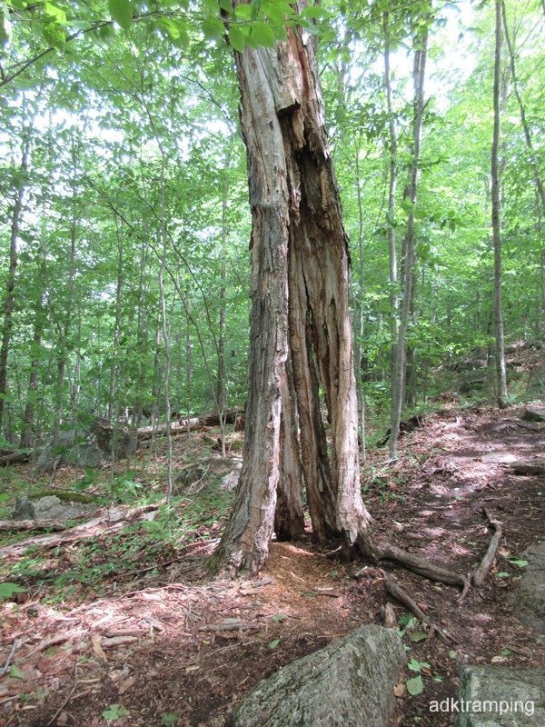Rotten for the first 20'