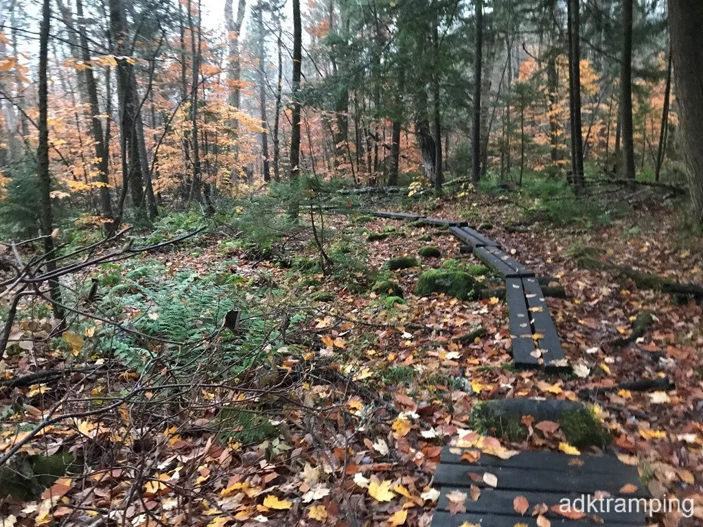 Several boardwalks