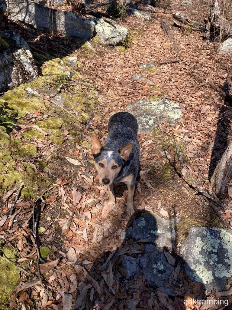 She's enjoying her outing
