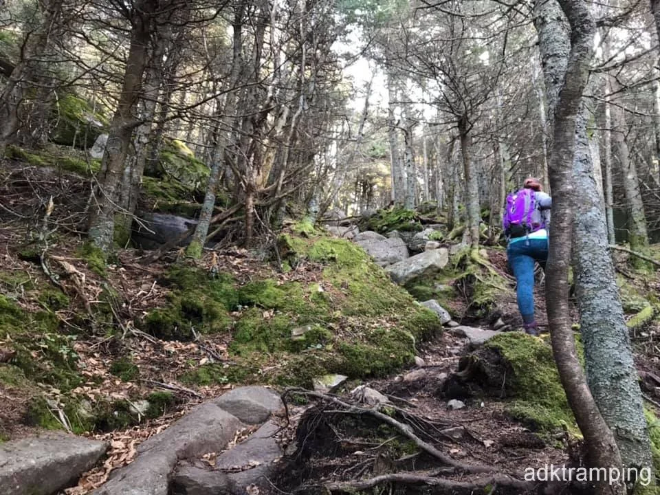 Steep section into the green