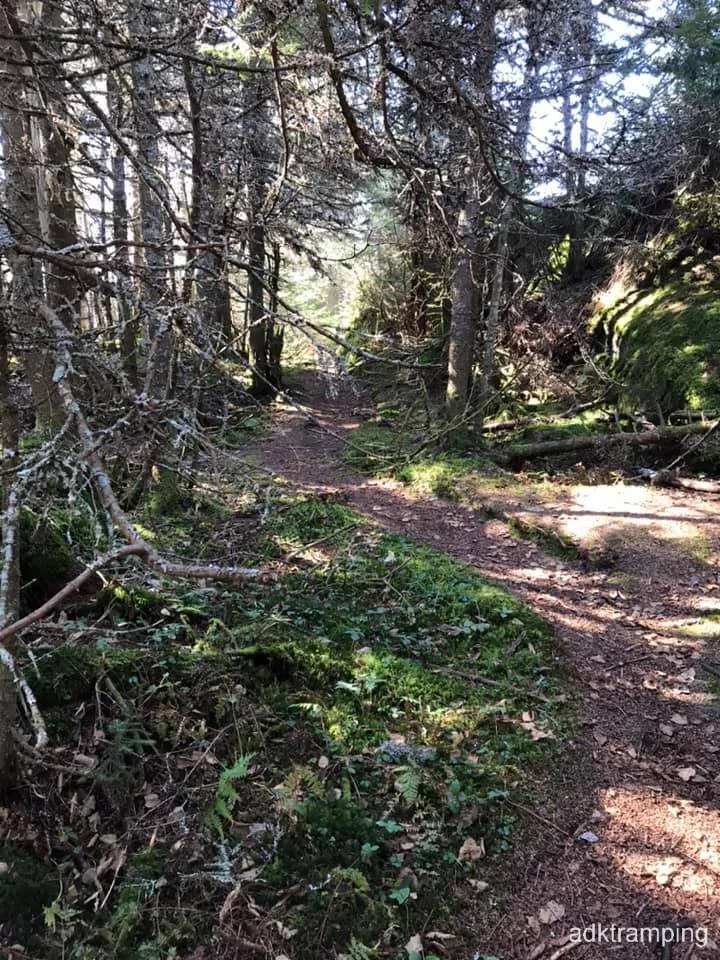 Summit ridge trail