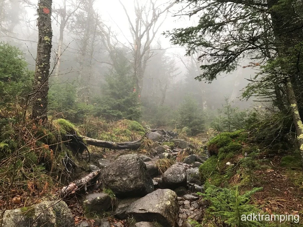 The trail