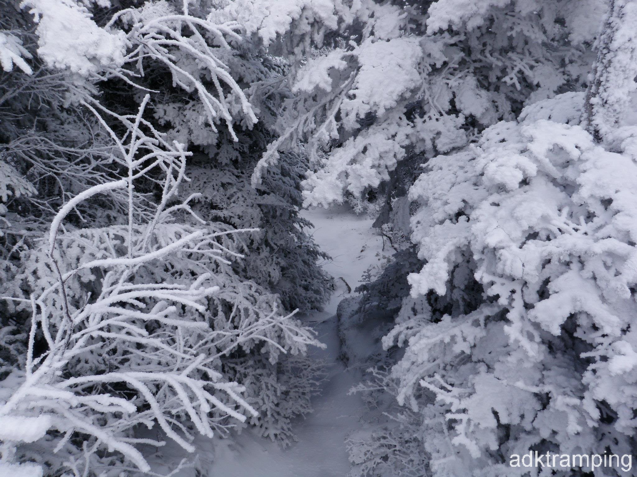 Trail to Porter