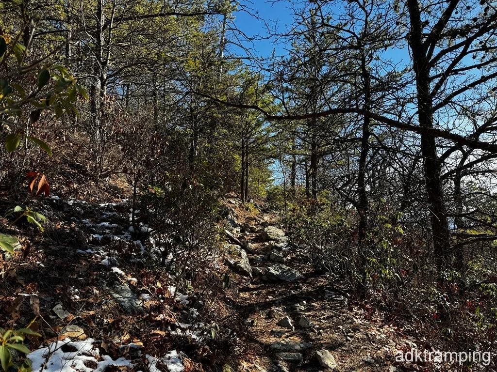 Typical condition of the Massanutten Trail