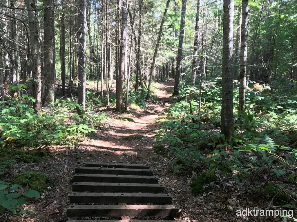 Typical trail