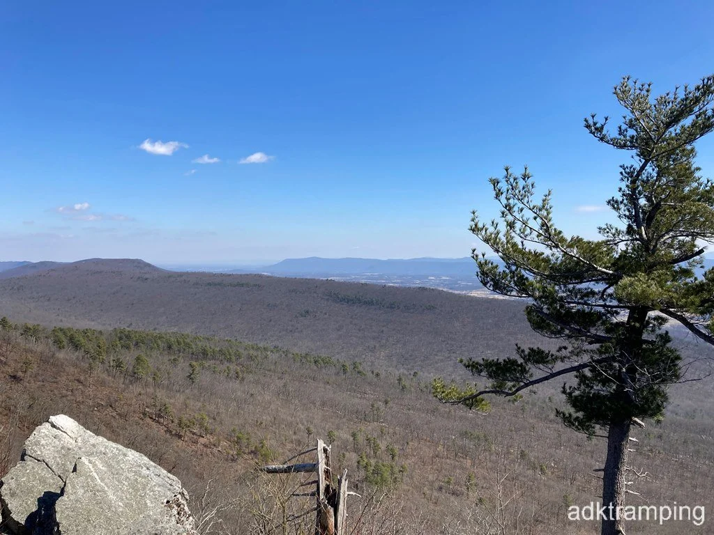 Views northeast